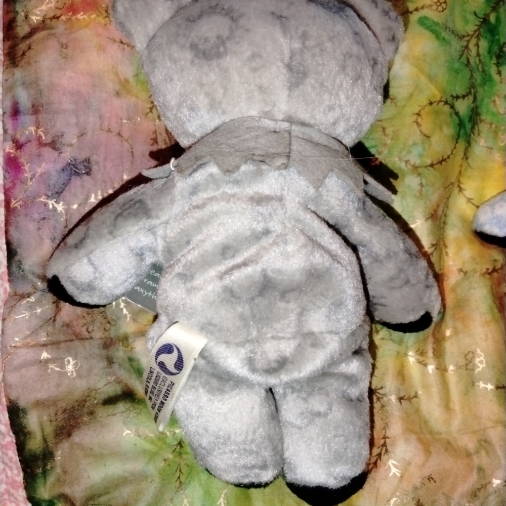 Dead bear - Picture 2 of 2